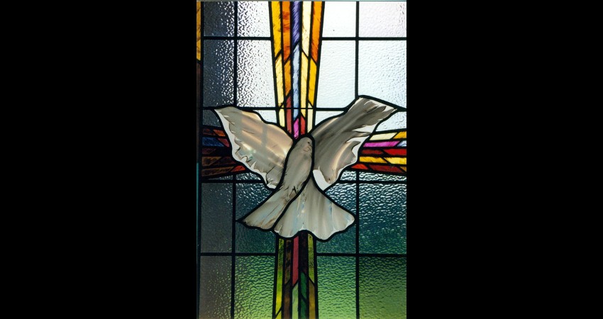 Wexford-Retirement-Residence-Dove-Window-close-up-03